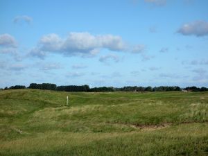 Royal St Georges 9th Fescue